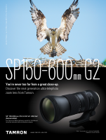 2020 07 01 BirdWatching.pdf